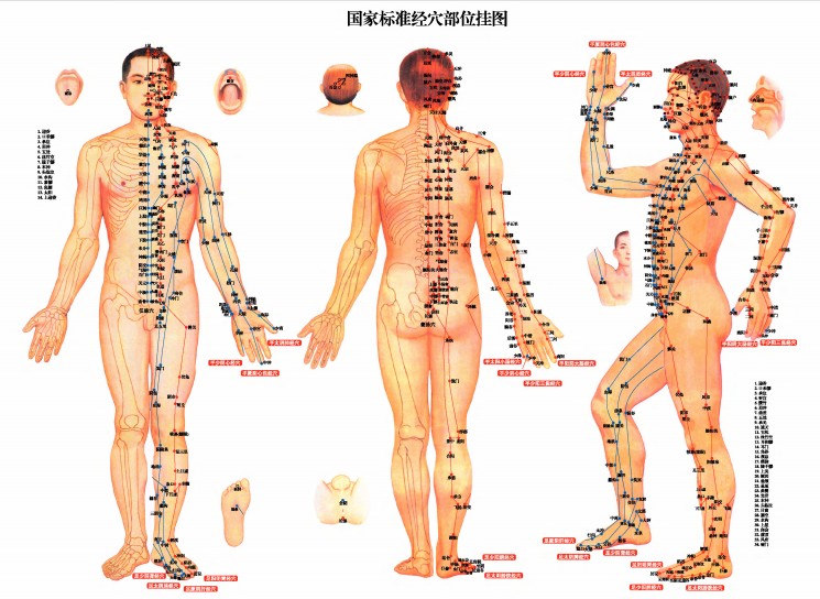 《人体经络使用图册》（全彩真人版）作者：蓝晓步 刘娅玲 纪剑峰【PDF】