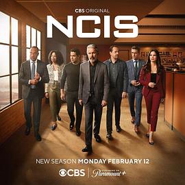 海军罪案调查处 第二十一季 NCIS Season 21