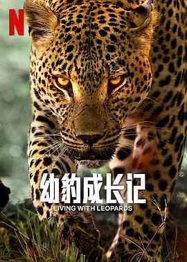 幼豹成长记 Living with Leopards