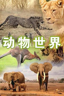 动物世界 Animal World