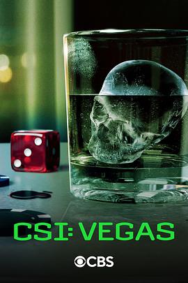 犯罪现场调查：维加斯 第三季 CSI: Vegas Season 3