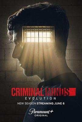 犯罪心理：演变 第十七季 Criminal Minds: Evolution Season 17