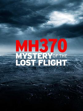 MH370：消失的航班 MH370: Mystery of the Lost Flight