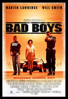 绝地战警 Bad Boys